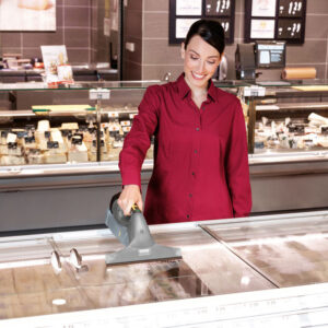 WVP 10 Advanced Window and Surface Cleaner - Image 5