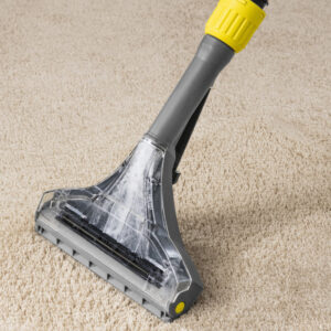 Puzzi 10/2 Carpet & Upholstery Cleaner - Image 6