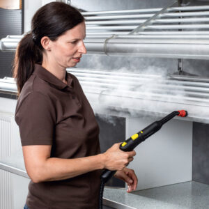 SG 4/4 Steam Cleaner - Image 7