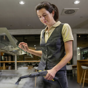 SG 4/4 Steam Cleaner - Image 4